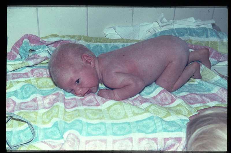 20.Delft aug 1965 Peter.JPG